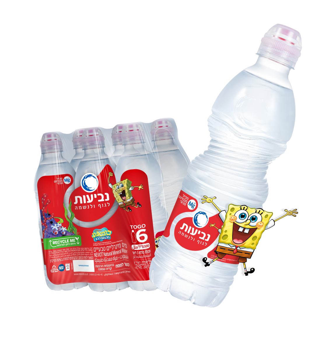 bottles