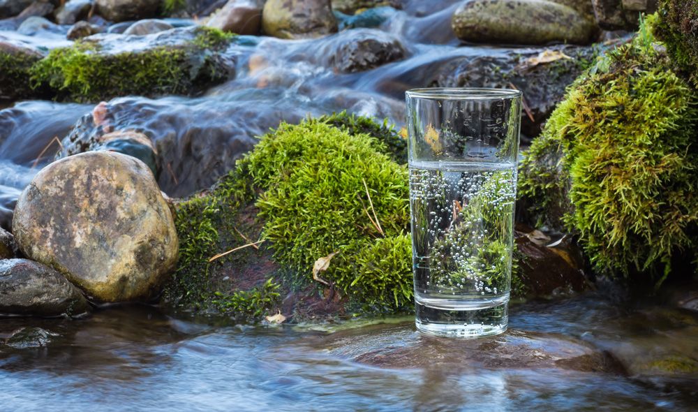 כוס מים בטבע