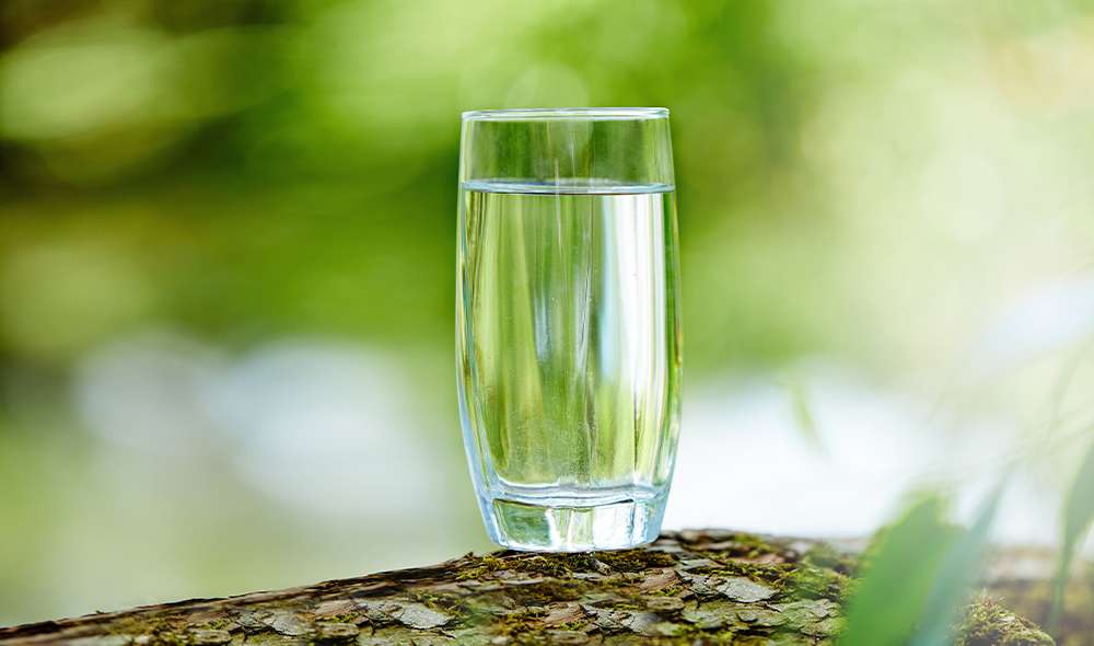 כוס מים בטבע